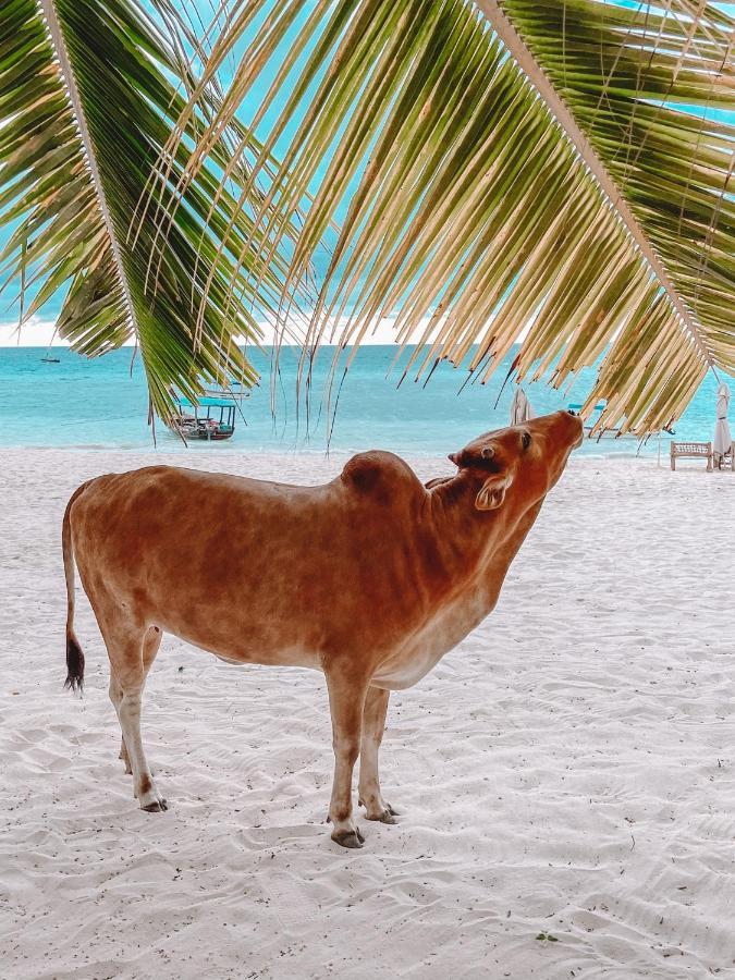 Zanzibar Star Resort Nungwi Bagian luar foto